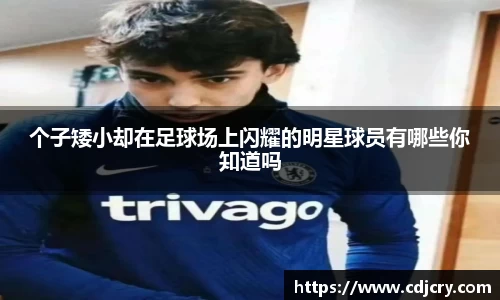 vwin德赢AC米兰合作