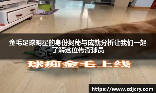 德赢AC米兰合作伙伴